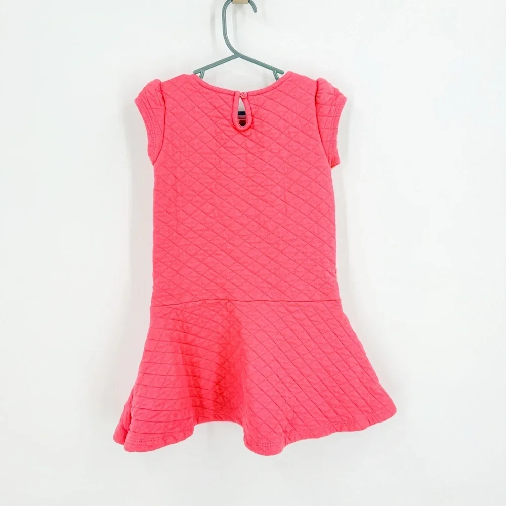 Gymboree Pink Flutter Sleeve Fit and Flare Dress